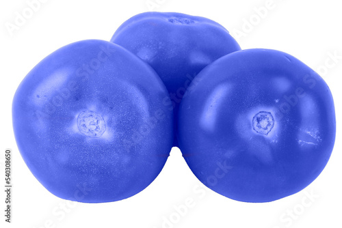  blue tomatoes toned in trendy Classic Blue color 