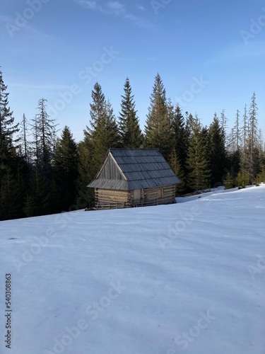Mountain modern house. Old cabin log house in the mountain. Shelter on the hiking path. Wooden house in the forest in mountains. Old wood and stone house with the trees. Summer hiking day