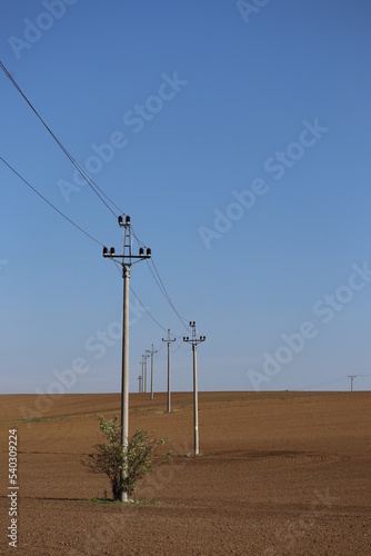 poles of power lines pass through the fields