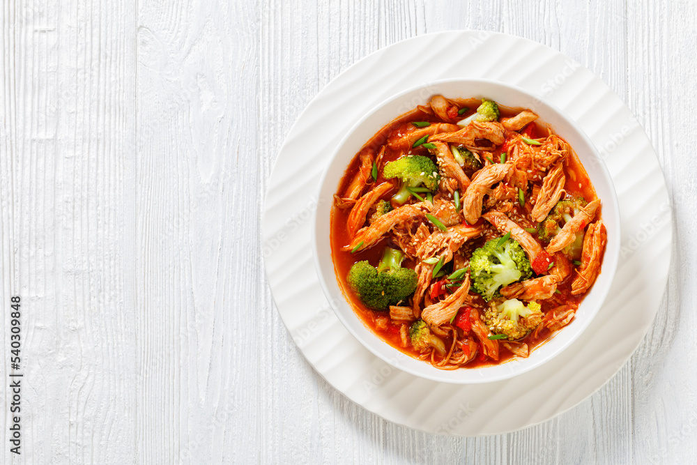 slow-cooked shredded chicken breast stew, top view slow-cooked shredded chicken breast stew, top view