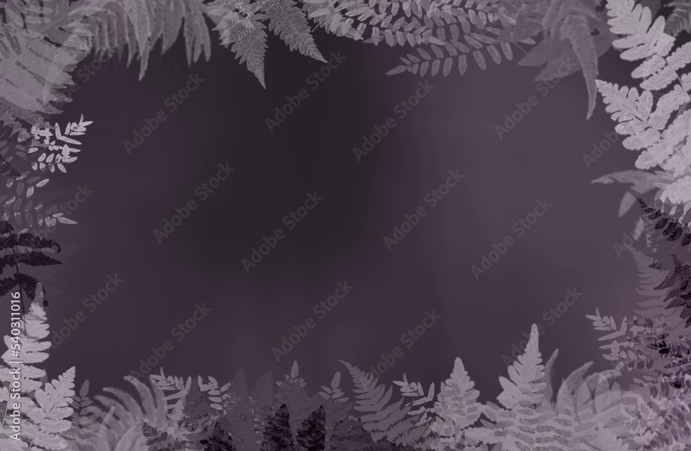 Obraz premium fern frame
