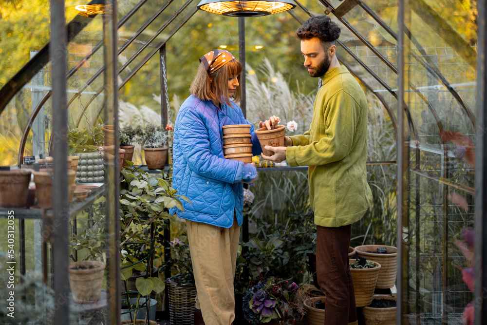 Man and woman take care of plants and flowers, gardening together in tiny orangery at backyard. Hobby or small family business of growing flowers concept Man and woman take care of plants and flowers, gardening together in tiny orangery at backyard. Hobby or small family business of growing flowers concept