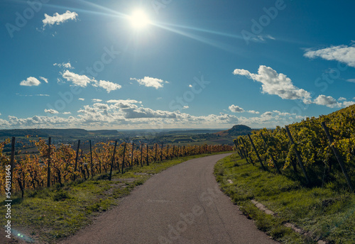 Weinberge im Oktober bei Hohenbeilstein, Beilstein, Langhans - schöner Himmel, Herbstgefühle, Weinreben 