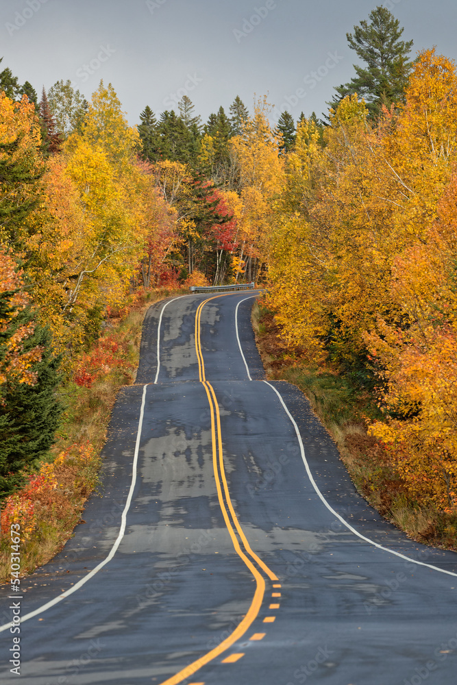 Winding road in Parc de La Mauricie through fall colors, Quebec
