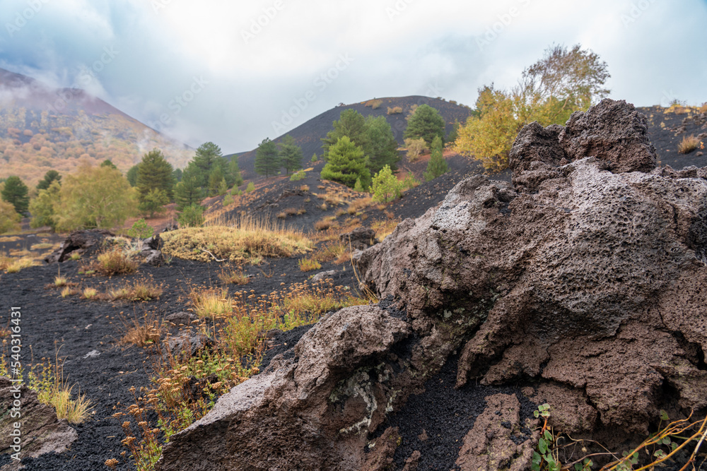 Obraz premium Vulkanlandschaft am Ätna - Etna Sizilien