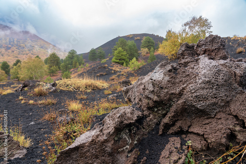 Fototapeta Naklejka Na Ścianę i Meble -  Vulkanlandschaft am Ätna - Etna Sizilien