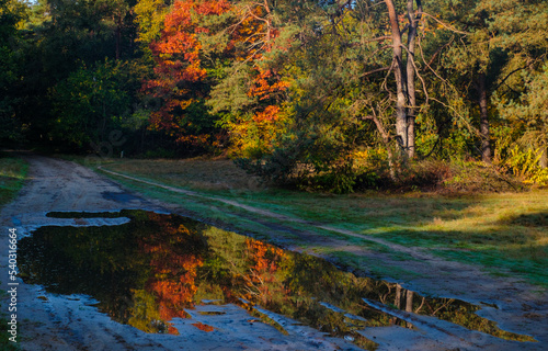 Nature reserve Holtingerveld  Drenthe province  The Netherlands Natuurgebied Holtingerveld