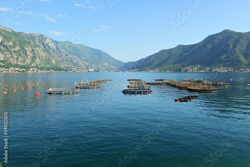Fish farm in the Bay of Kotor, Montenegro, Europe