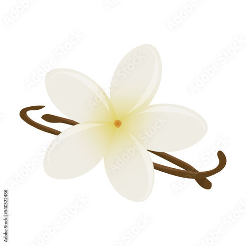 White Vanilla Icon