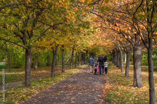 Spaziergänger Kirschenallee Herbst
