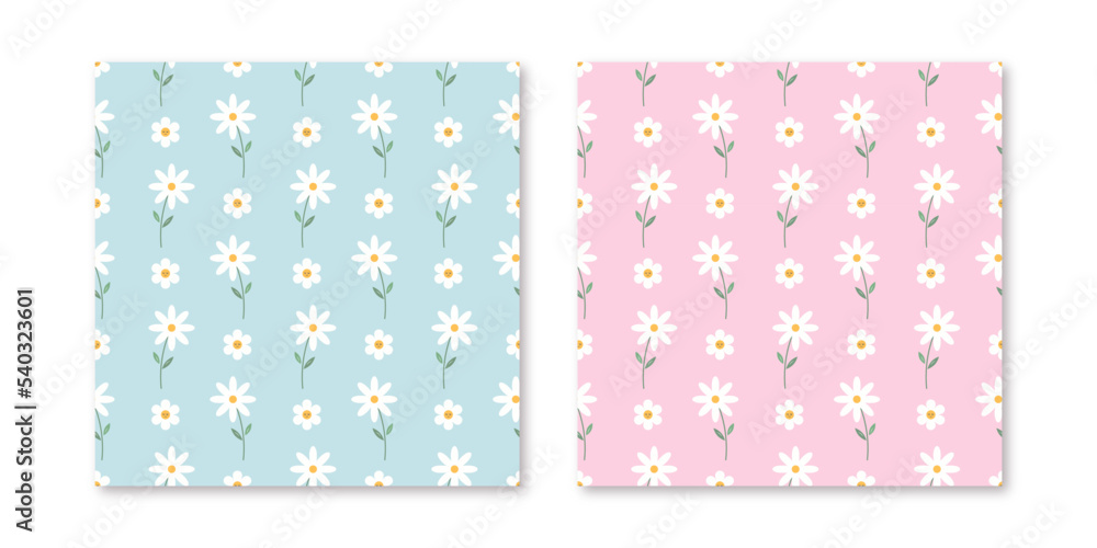 Set Pink blue Vector seamless daisy trendy pattern Garden flat flower botanical pastel pattern vector design for fabric, wallpaper and all prints white background color. Cute pattern Small chamomile