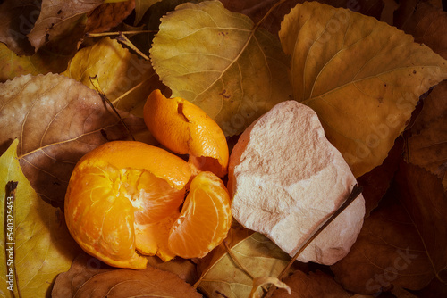 Mandarin the autumn fruit