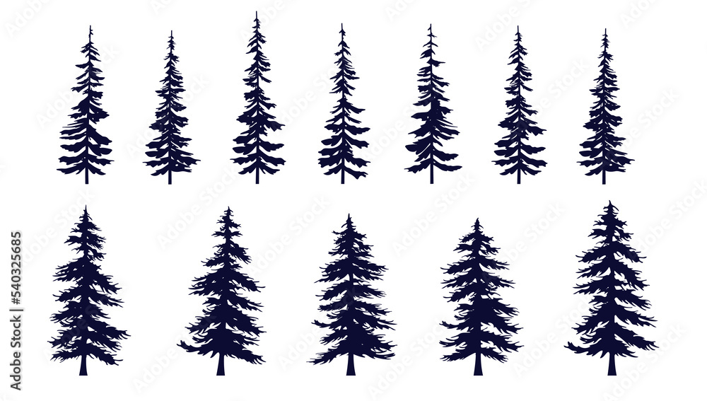 Coniferous vector tree collection - Set of various trees on white background