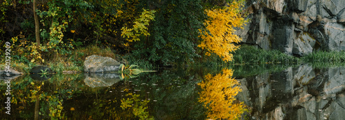 Autumn tree with yellow leaves reflected in water