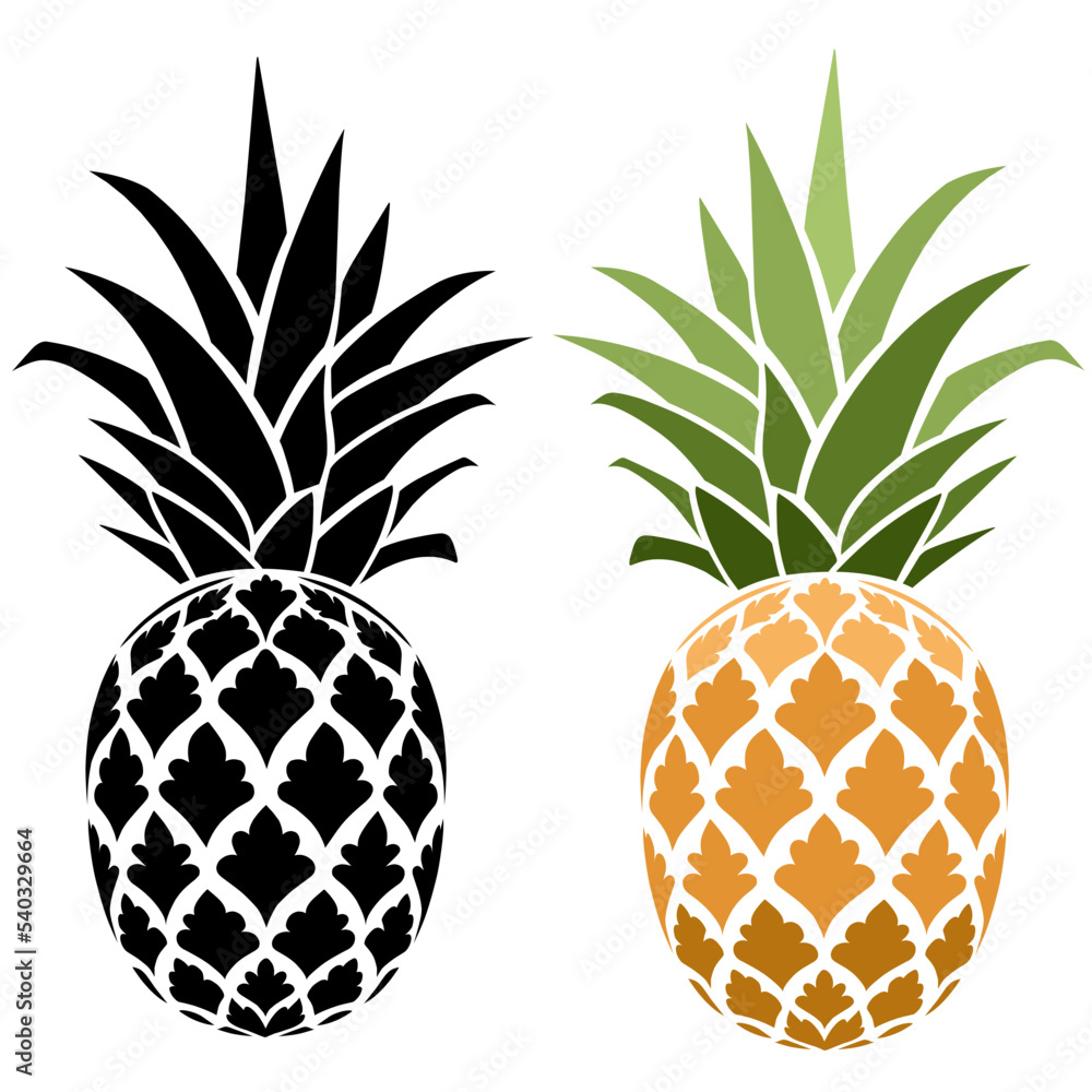 illustration of pineapple illustration of pineapple