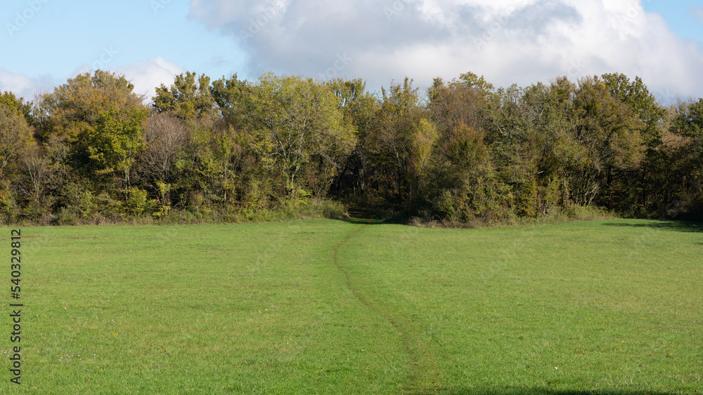 Fototapeta premium Plateau de Cita, Natura 2000