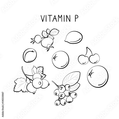 Vitamin P bioflavonoids. Groups of healthy products containing vitamins and minerals. Set of fruits, vegetables, meats, fish and dairy.