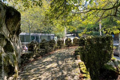 View from the park over the road next to National Palace of Pena in Sintra