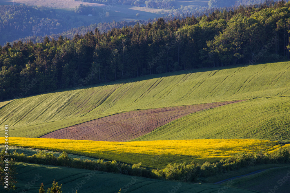 Obraz premium Agricultural landsape wih farmland in Austria