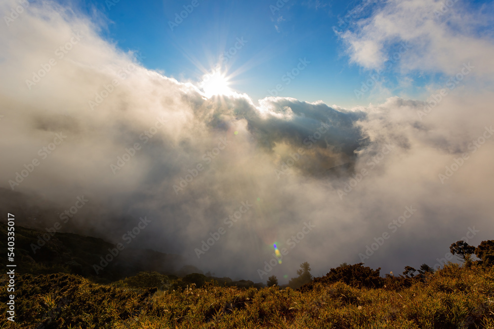 Naklejka premium Sunset beautiful landscape of Sea of clouds over Hehuanshan