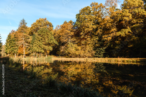 Jesieny krajobraz - jezioro w lesie