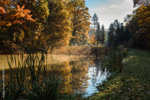 Jesień, jeziorko i las