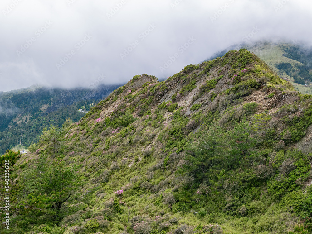 Overcast view of the landscape of Hehuanshan Overcast view of the landscape of Hehuanshan