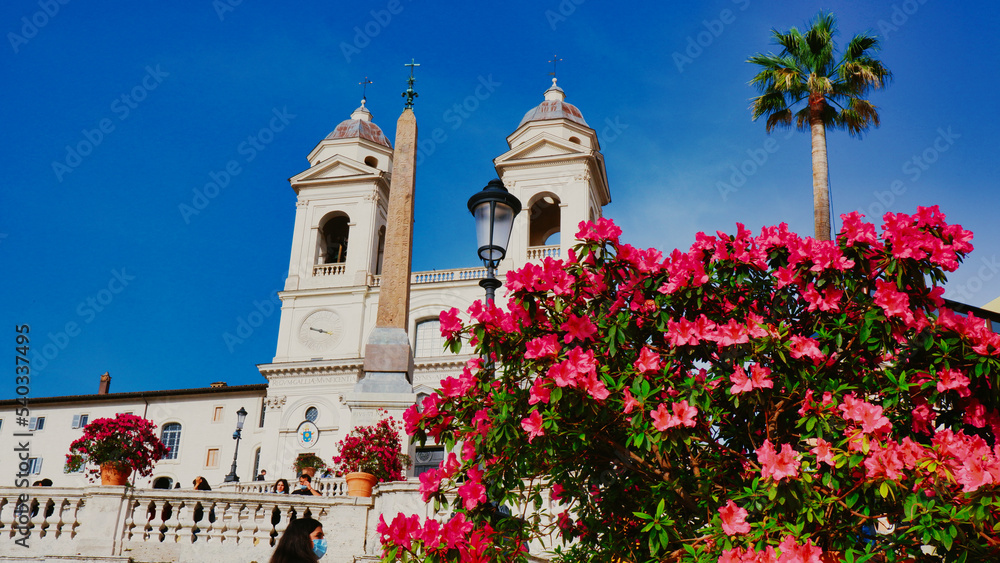 Obraz premium Spanish Steps in the morning with azaleas in Rome