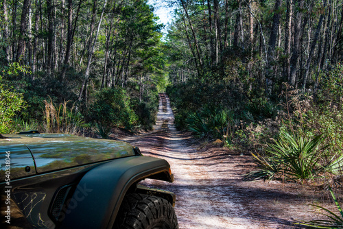  4 x 4 Vehicle Off Road Trail at Ocala State National Forest Florida
 photo