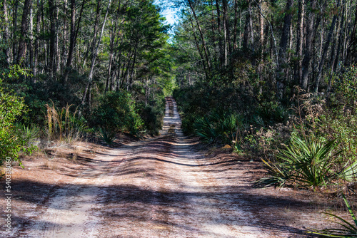 Ocala National Forest Trail for Camping and Offroad 4 x 4 Driving