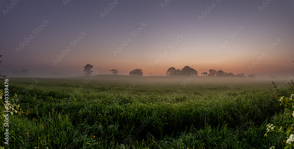 pre dawn misty meadow