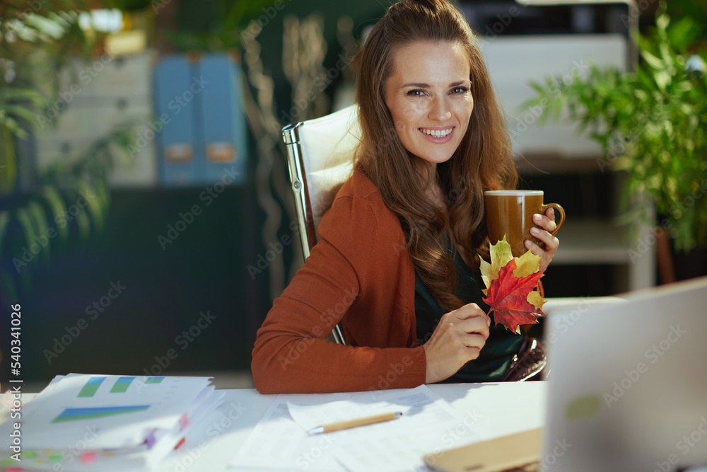 smiling trendy business owner woman in green office smiling trendy business owner woman in green office