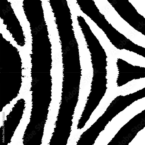 Zebra print. Zebra skin texture. Zebra skin  stripes pattern