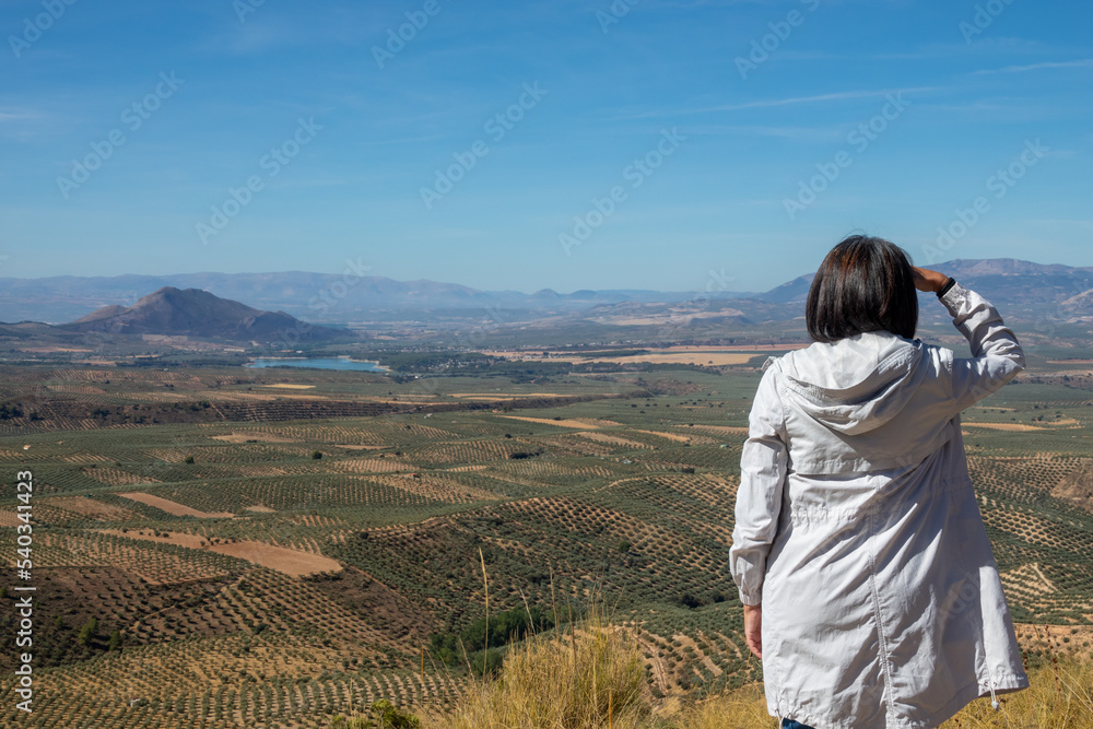 Middle-aged Caucasian woman from the back admiring the views of the Andalusian landscape with olive groves and mountains from the Atalaya de Deifontes viewpoint (Granada, Spain), a sunny morning