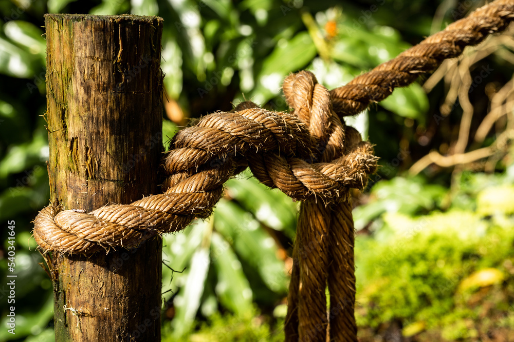 Rope tied with a knot to a pole on a background of greenery Rope tied with a knot to a pole on a background of greenery