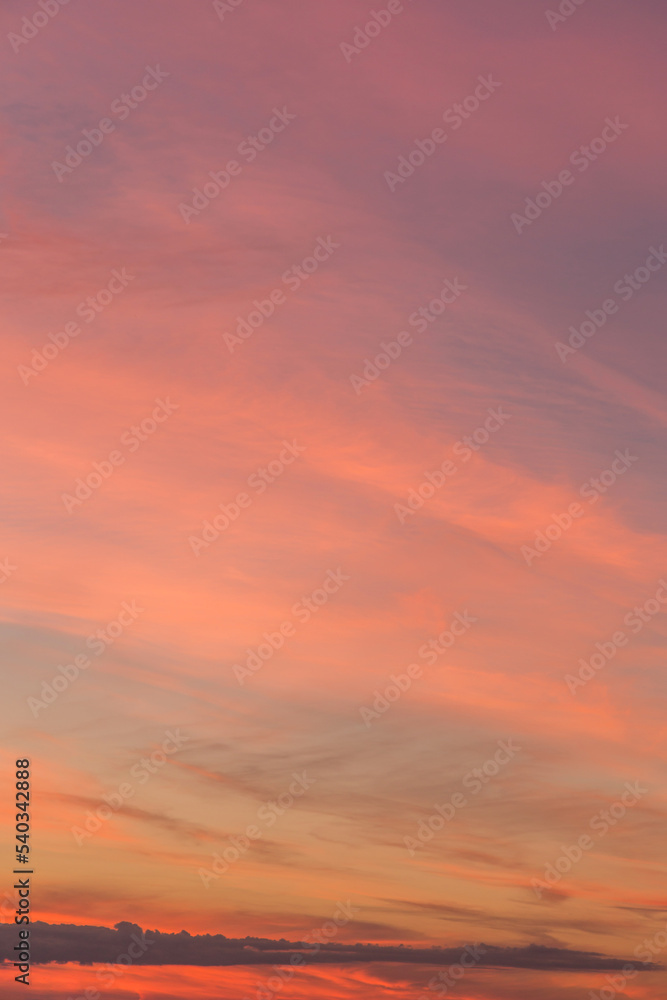 Sunrise, sunset, pink violet orange blue sky with colorful clouds in sunlight background texture	
