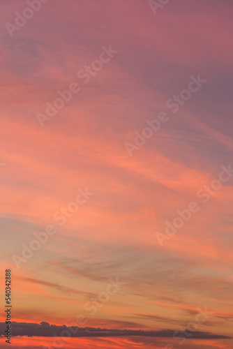 Sunrise, sunset, pink violet orange blue sky with colorful clouds in sunlight background texture 