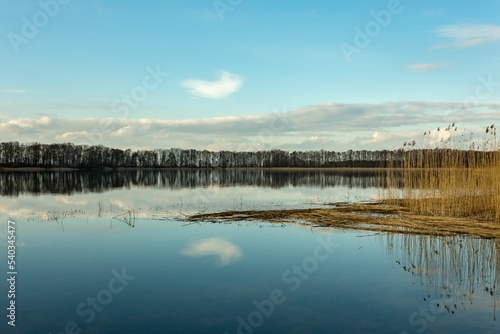Bild auf Leinwand Altfriedland: Klostersee im Winter