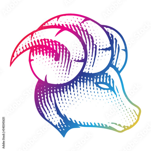 Scratchboard Engraved Ram Profile View in Rainbow Colors