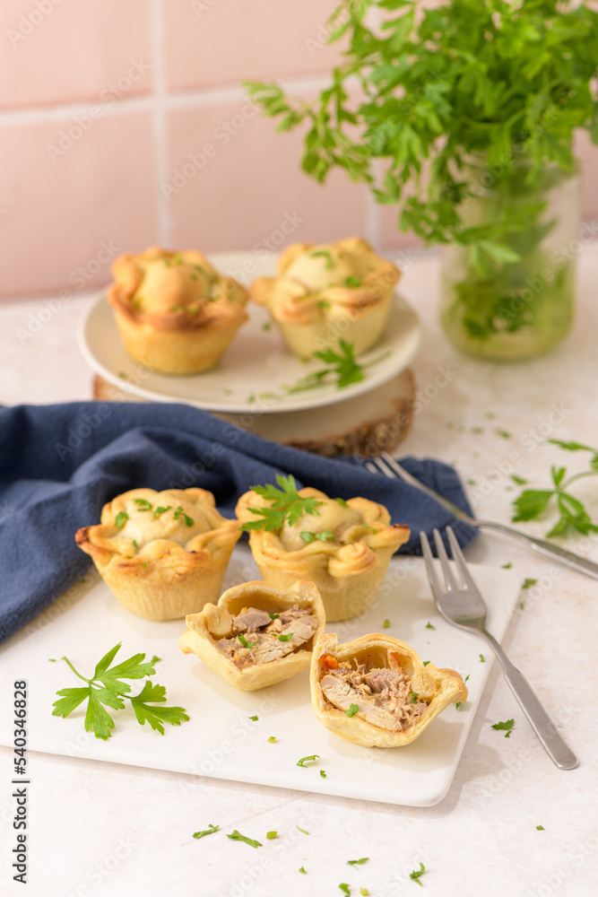 Chicken pies Chicken pies