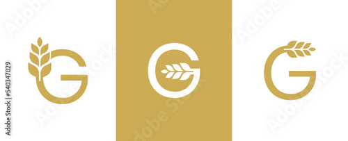 Initial Letter G Wheat Logo Concept symbol sign icon Element Design. Agriculture, Bakery, Grain Logotype. Vector illustration template