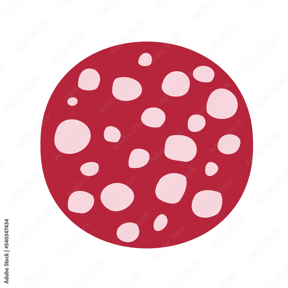 round salami slice with fat round salami slice with fat
