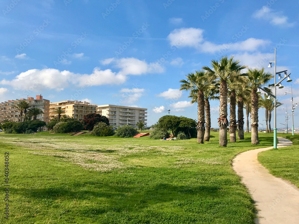 Fototapeta premium La Pineda, Spain, June 2019 - A large green field with trees in the background