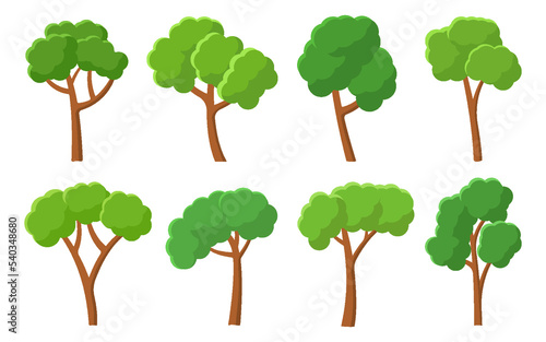 Green trees flat icon set. Forest foliage landscape floral outdoor element. Different shape botanical park cartoon plants. Natural ecology summer garden. Maple oak birch aspen ash isolated on white