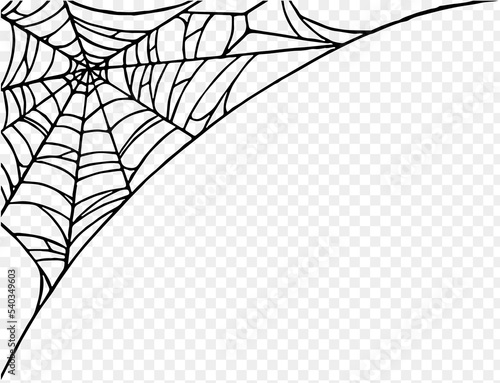 Canvastavla Halloween party background with spiderwebs isolated png or transparent texture,b