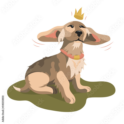 Dachshund with crown vector illustration. Dog with ears blowing in the wind on white background. Good design for animal shelter logo  shop pets  textile  t-shirt. Flat style.