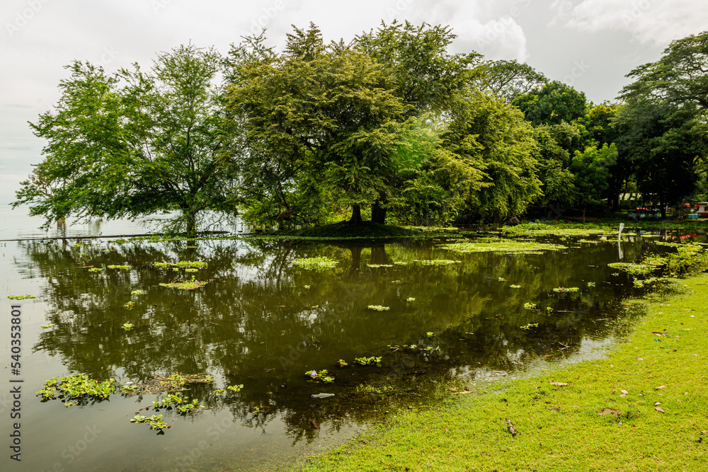 Fototapeta premium Shoreline reflection Lake Nicaragua