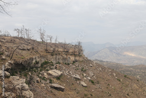Rocky ledge with burnt trees against the backdrop of a mountain valley, Turkey, October 2022.