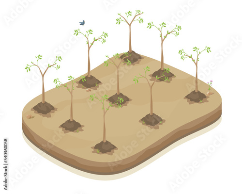 reforestation potential plant a tree green wall of trees environmental conservation isometric factory ecology step vector isolate