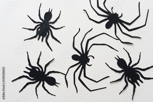 black paper silhouettes of spiders on blank paper
